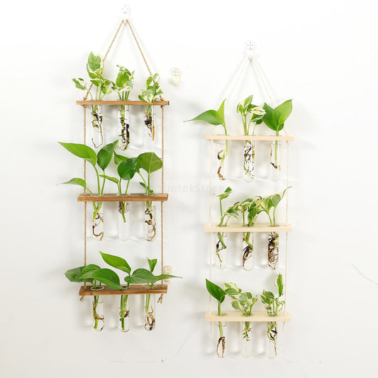 Test Tubes Glass Planter Wall Hanging Terrarium Container Flower Bud Vase with Wooden Holder for Propagation Hydroponic Plant